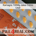 Kamagra 100Mg Jalea Cómo Usar 43